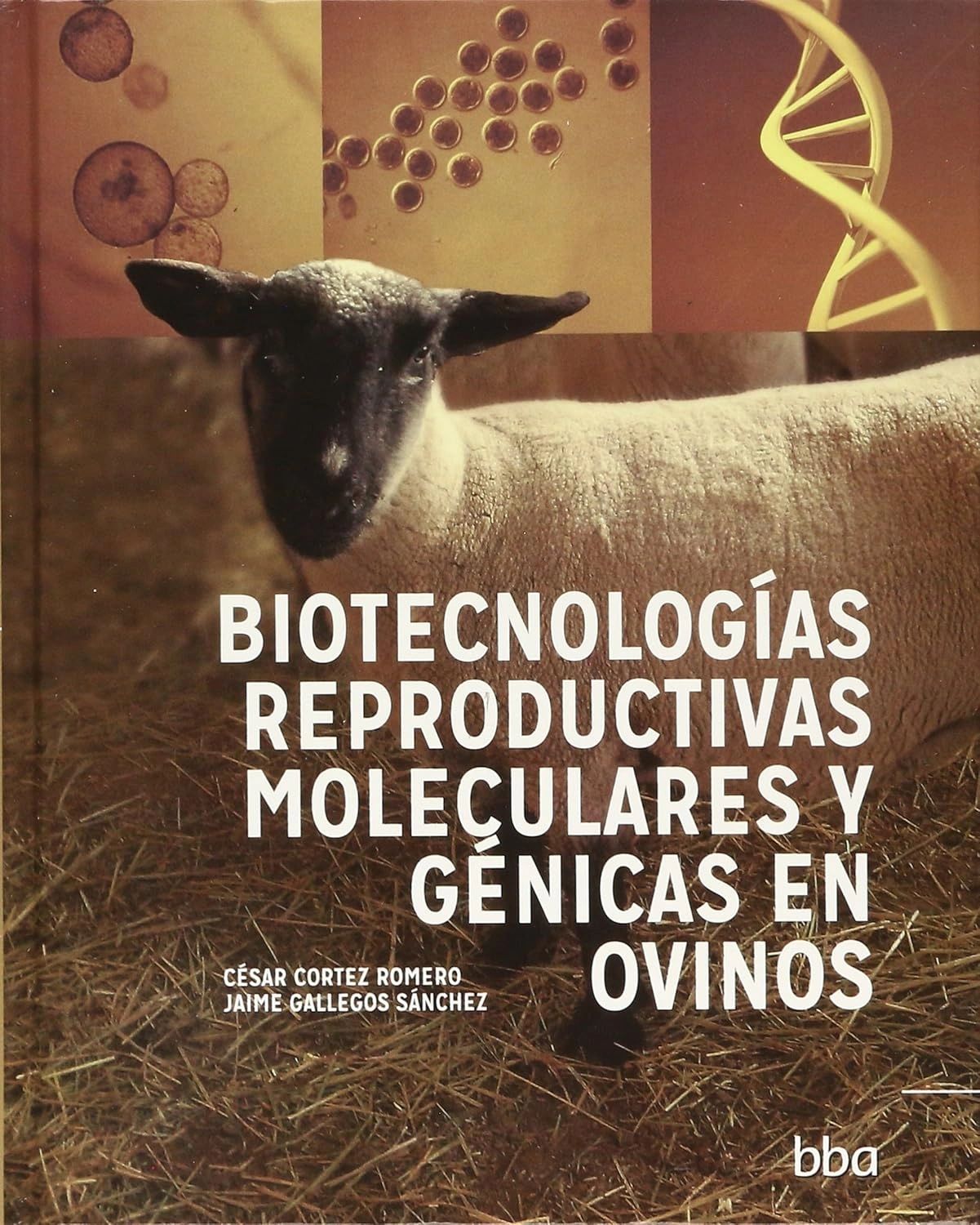 Biotecnologias Reproductivas Moleculares Y Geneticas En Ovinos Colpos Colegio de Postgraduados