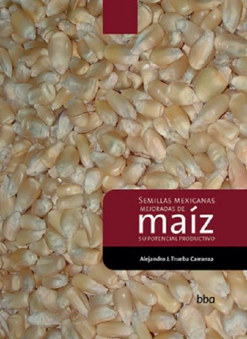 Semillas mexicanas mejoradas del maiz su potencial productivo Colpos