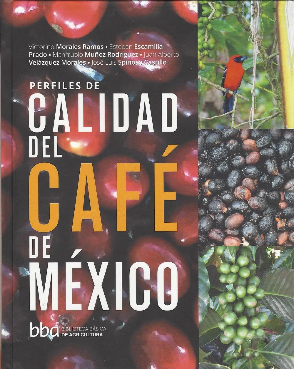 Perfiles de calidad del cafe de Mexico Colpos