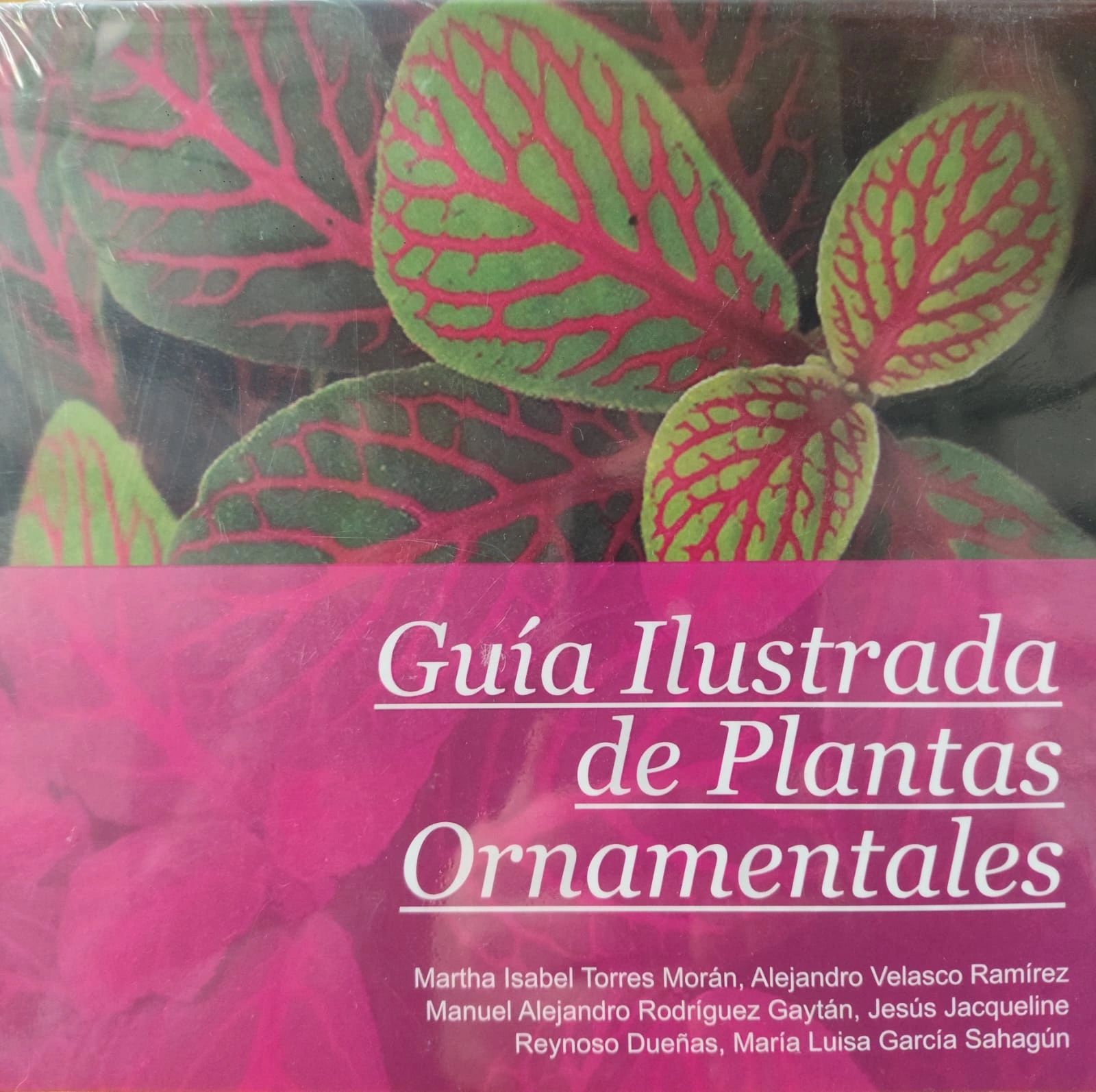 Guia ilustrada de plantas ornamentales Martha Isabel Torres Colpos