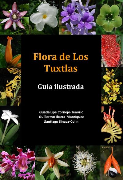 Flora de Los Tuxtlas Guía ilustrada