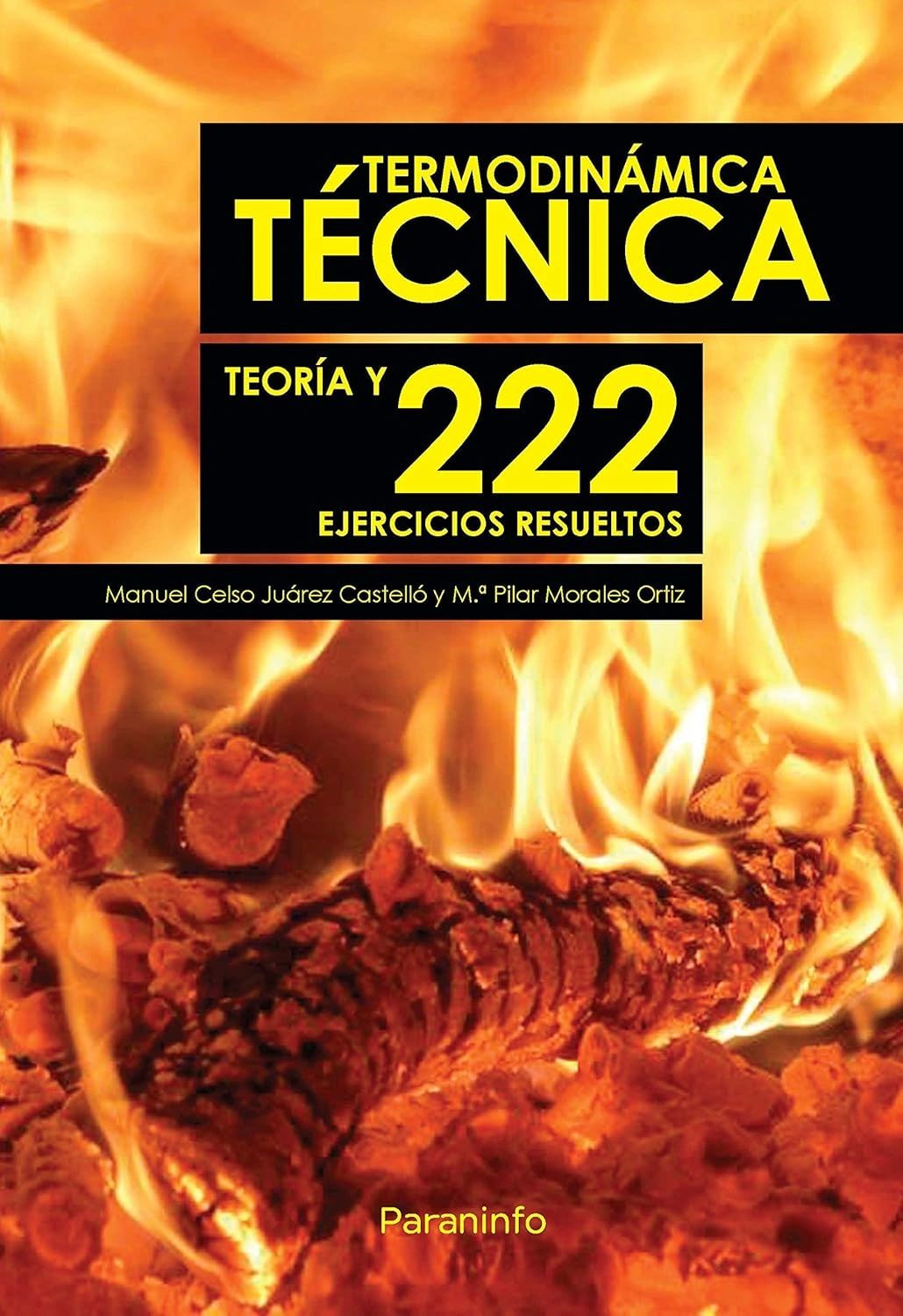 Termodinamica tecnica teoria y 222 ejercicios resueltos Paraninfo