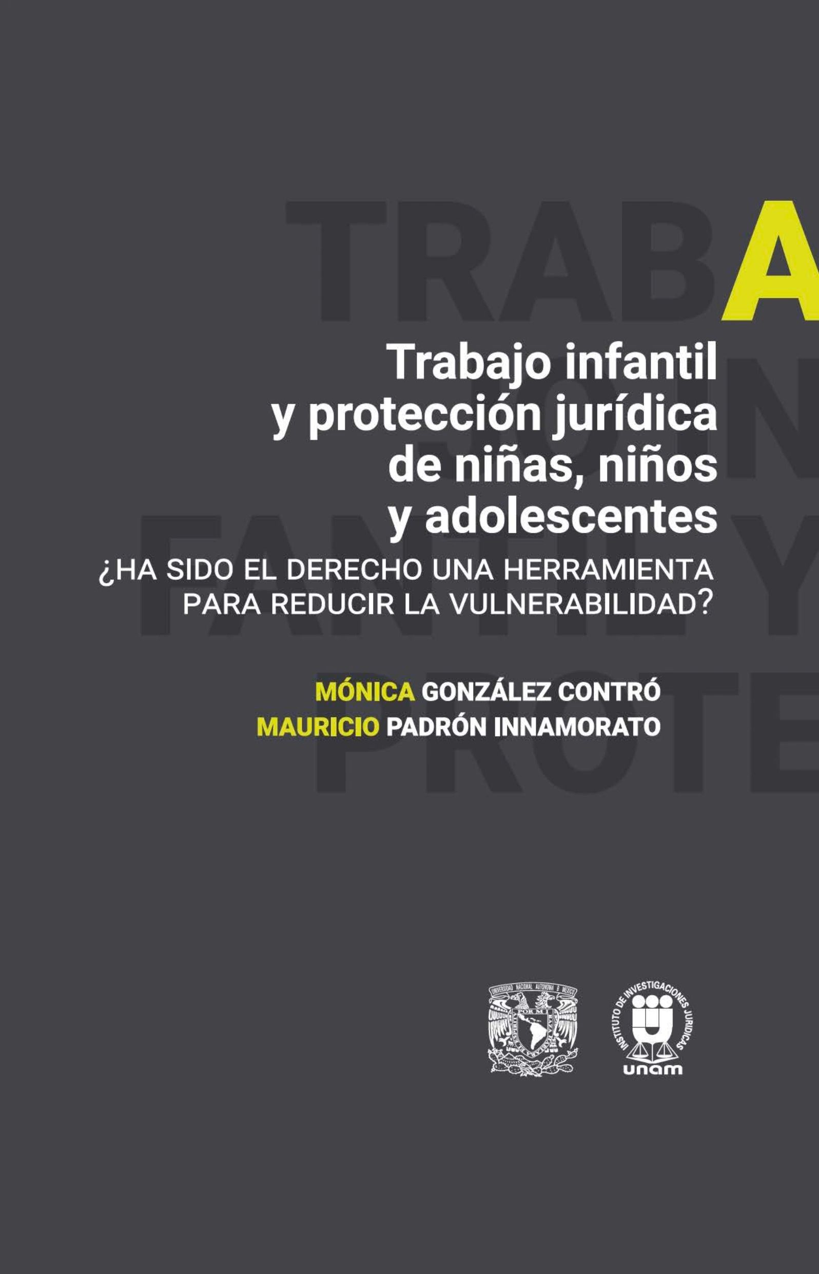 Trabajo infantil y protección jurídica de niñas, niños y adolescentes ¿Ha sido el derecho una herramienta para reducir la vulnerabilidad? Editorial UNAM