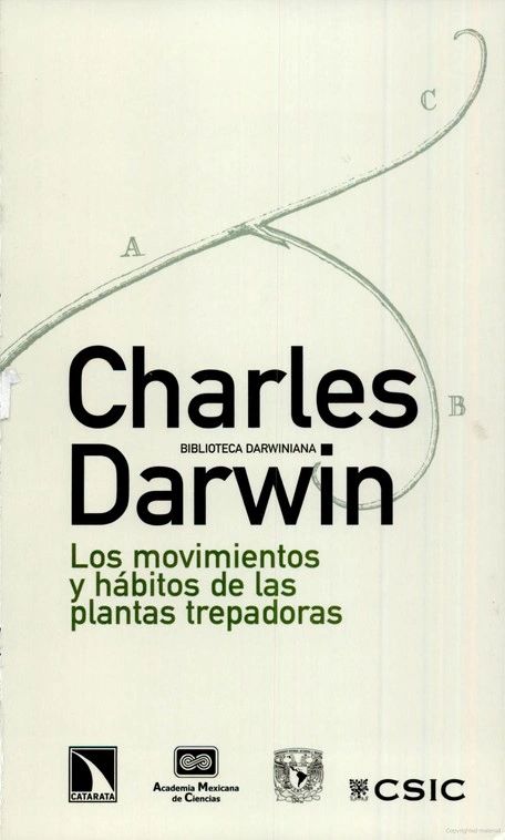 Los movimientos y hábitos de las plantas trepadoras