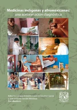 Medicinas indígenas y afromexicanas: una aproximación diagnóstica
