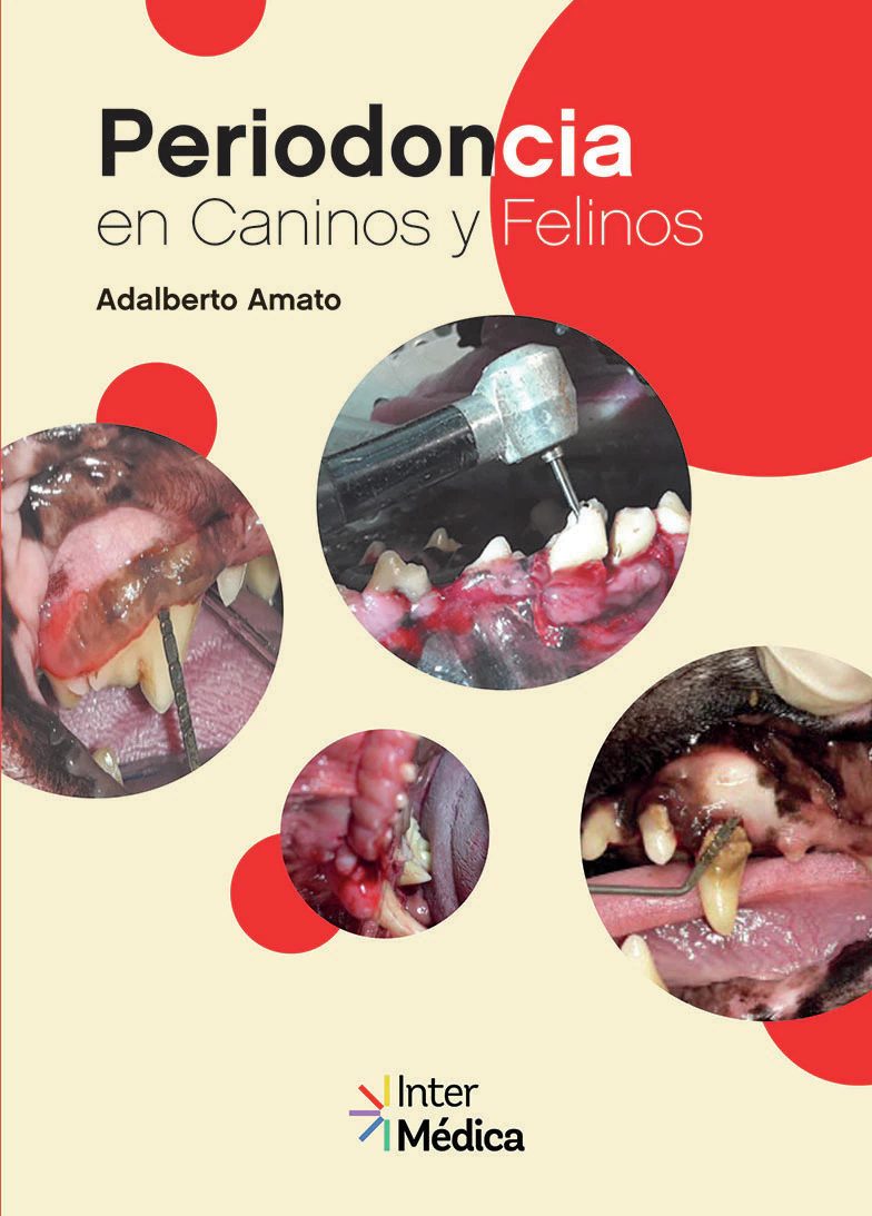 Periodoncia en caninos y felinos InterMedica