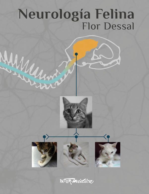 Neurologia Felina Flor Dessal Veterinaria Pequeñas Especies Editorial Intermedica