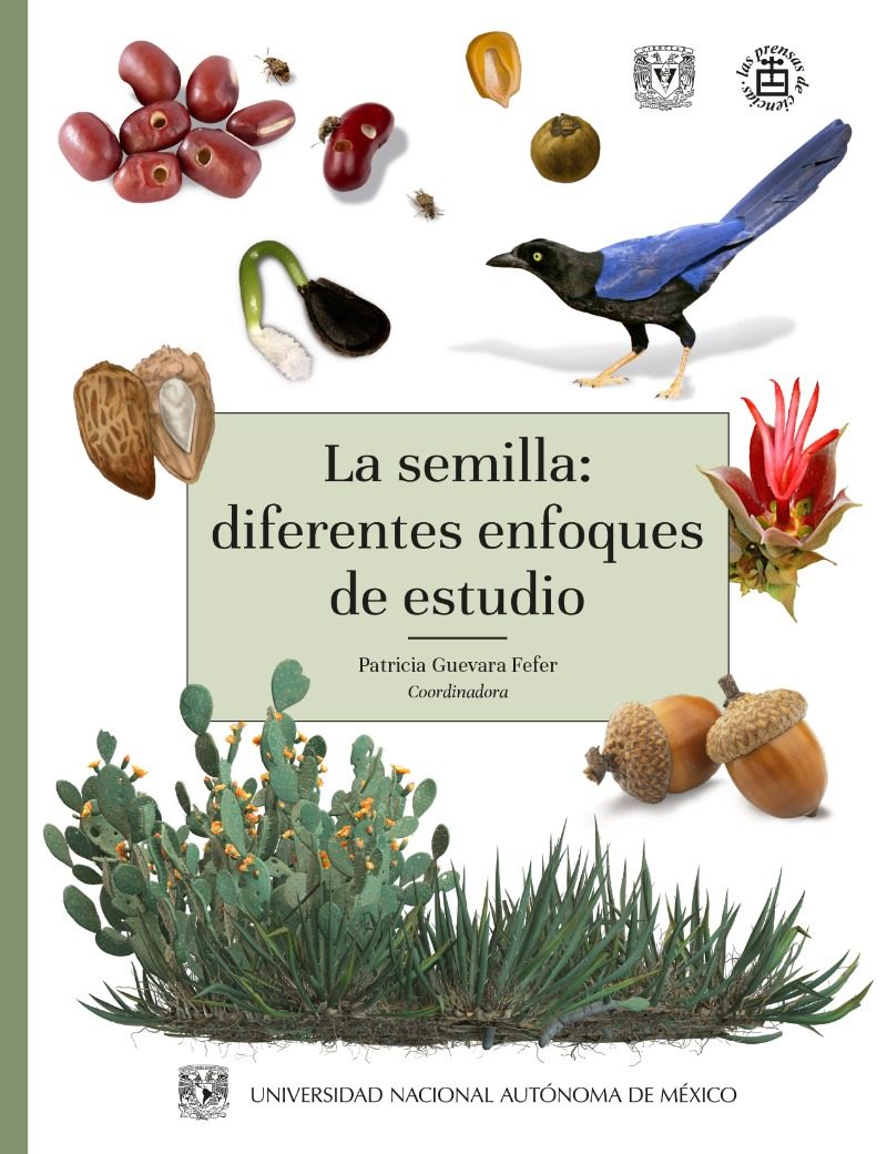 La semilla: diferentes enfoques de estudio