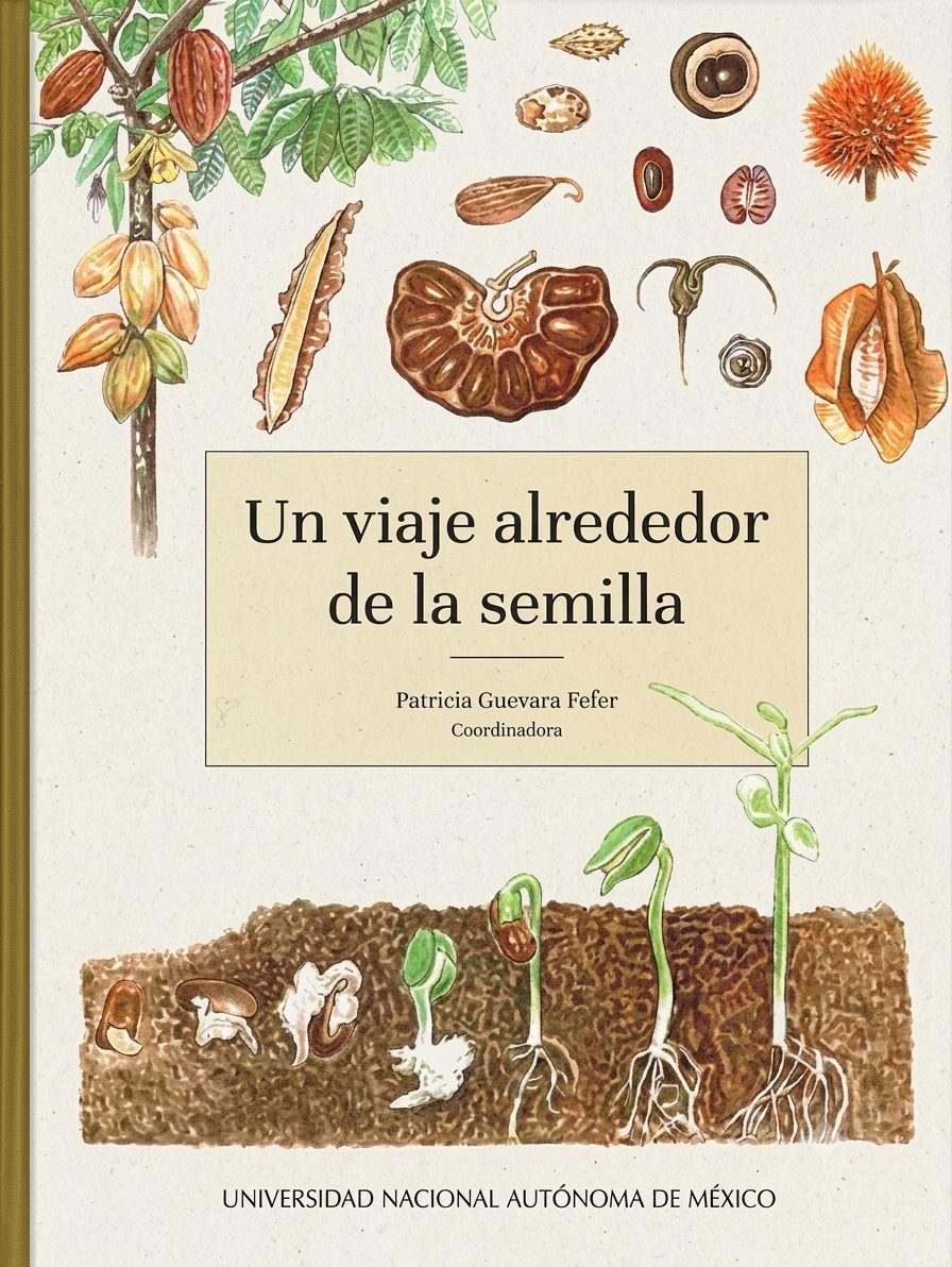 UN VIAJE ALREDEDOR DE LA SEMILLA