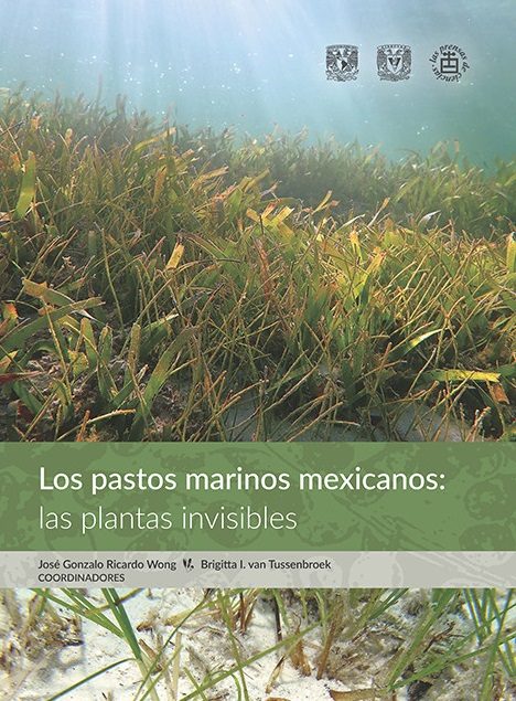 Los pastos marinos mexicanos: las plantas invisibles / UNAM