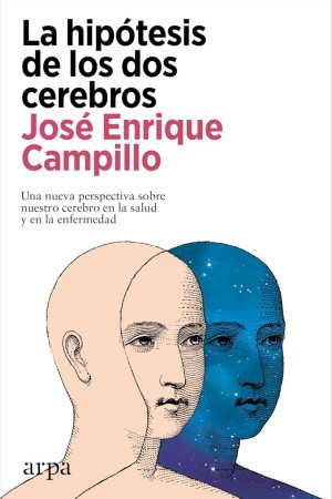 La Hipótesis De Los Dos Cerebros