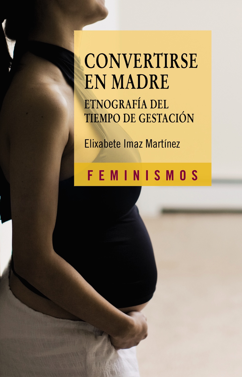 Convertirse en madre. etnografía del tiempo de gestación Catedra
