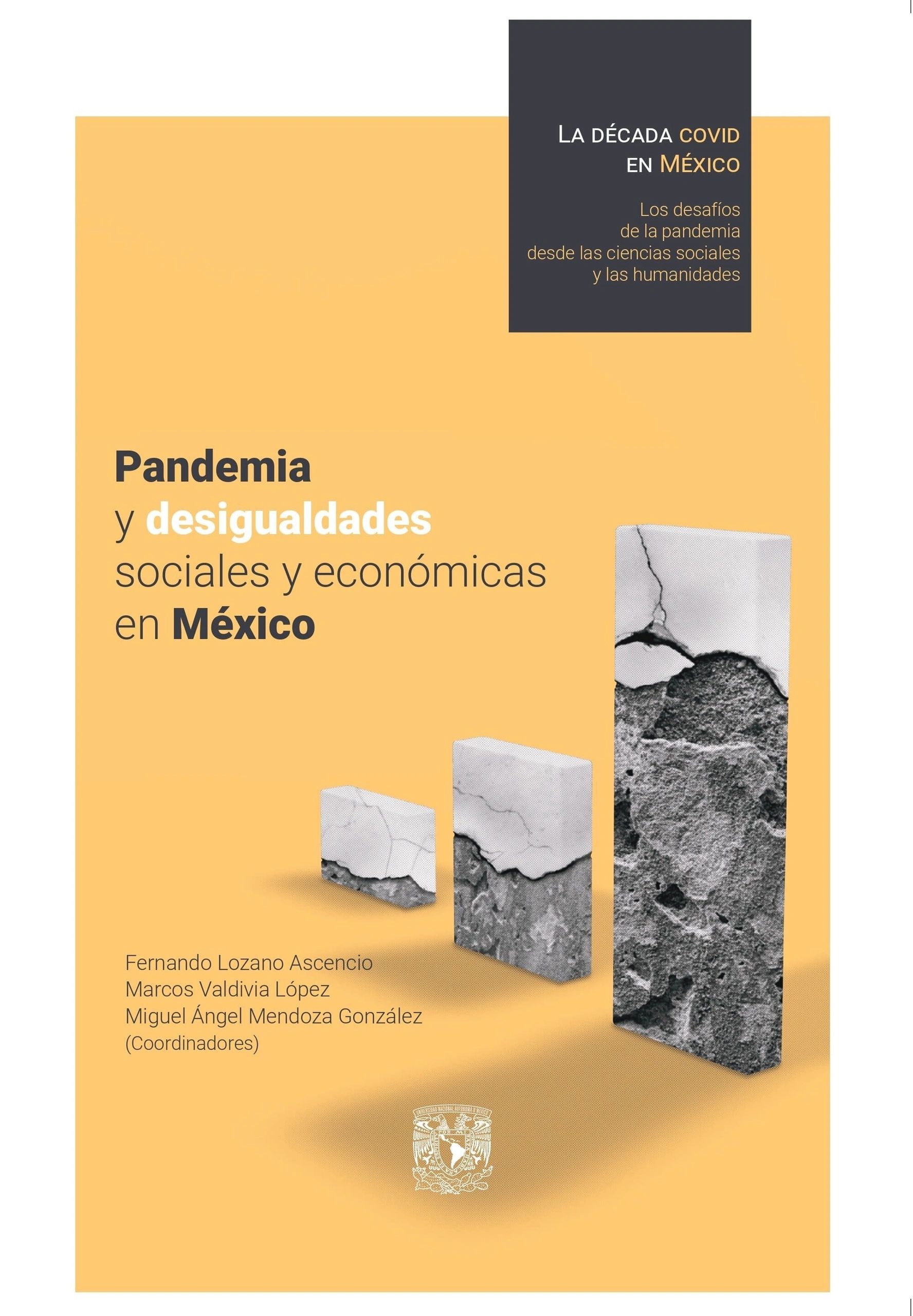 Pandemia y desigualdades sociales y económicas en México UNAM