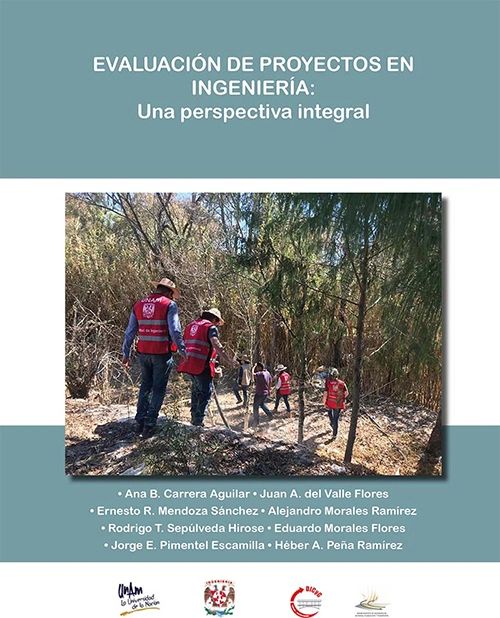 Evaluación de proyectos en ingeniería UNAM