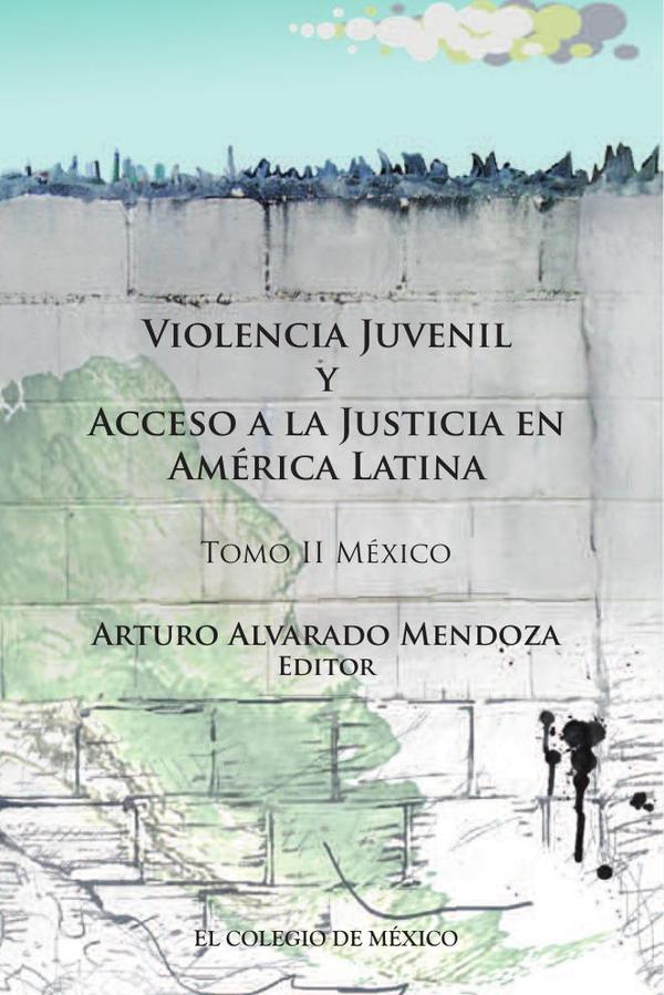 Violencia juvenil y acceso a la justicia en America Latina
