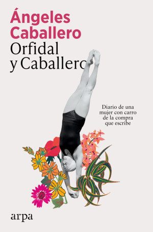 Orfidal Y Caballero Diario De Una Mujer Con Carro De La Compra Que Escribe