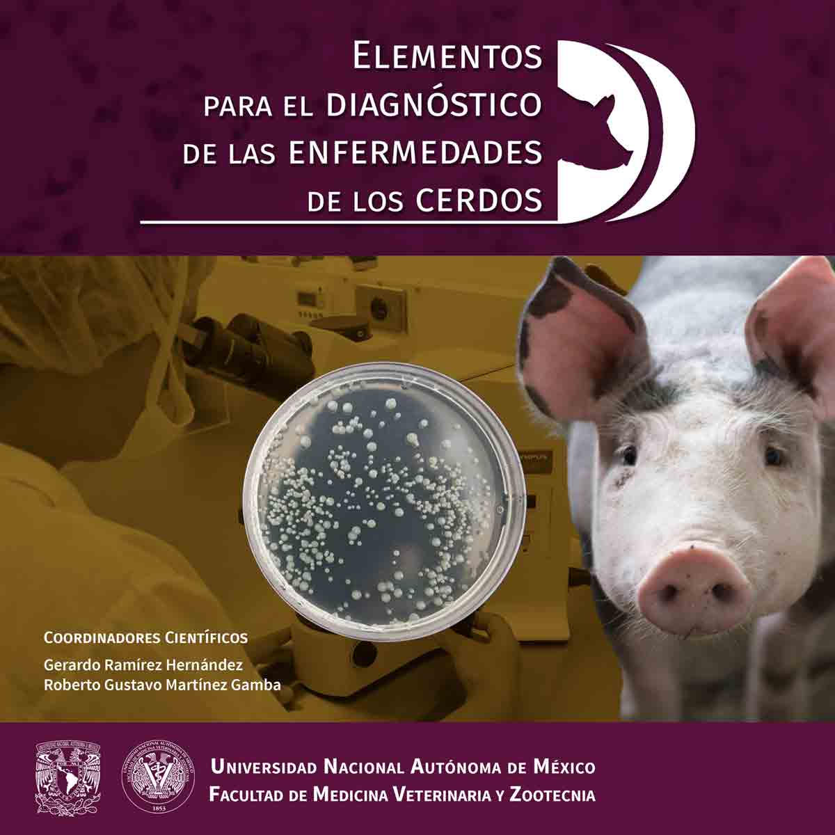 Elementos para el diagnóstico de las enfermedades de los cerdos