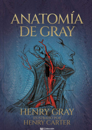 Anatomia de Gray