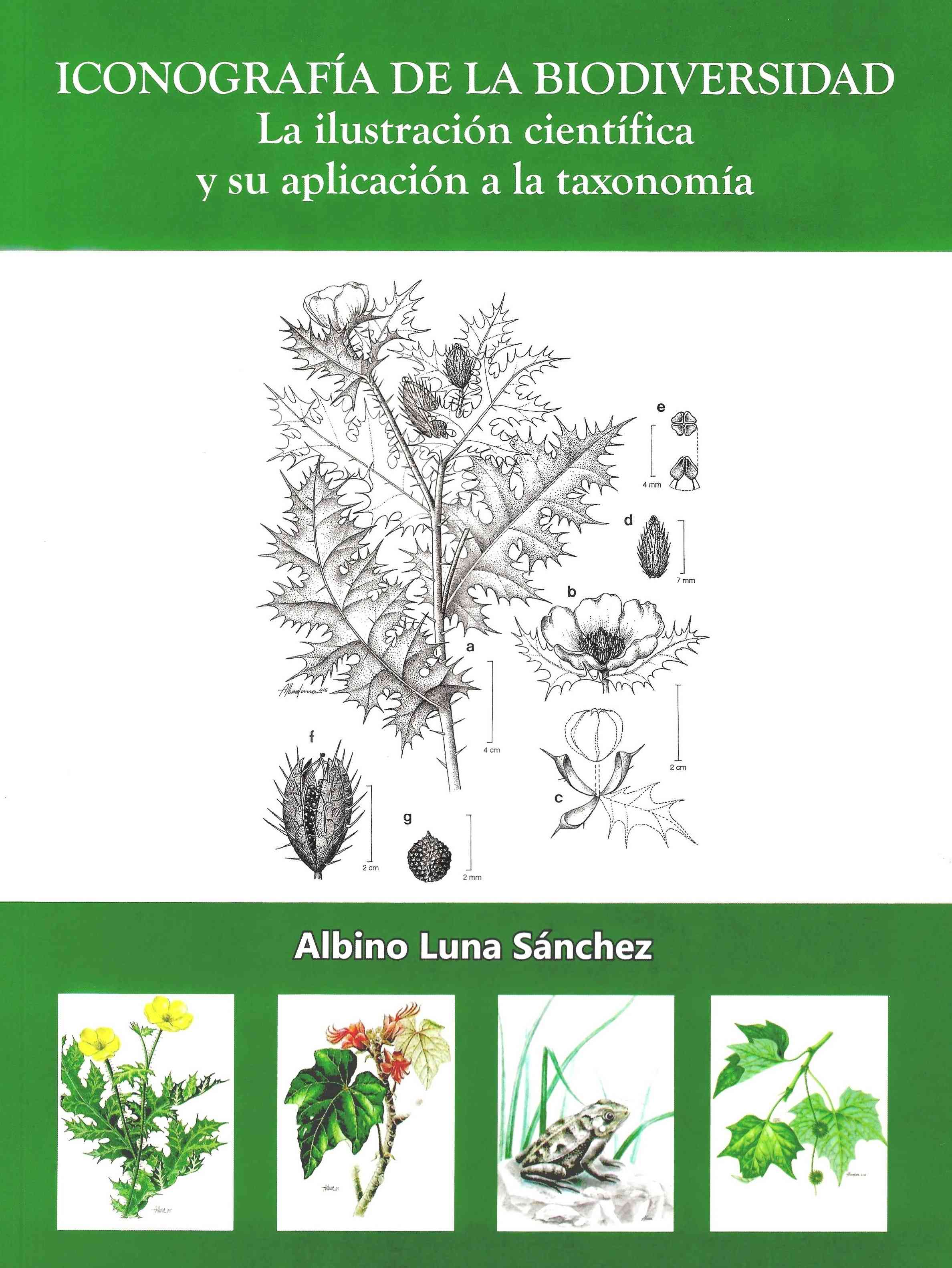Iconografía de la biodiversidad. La ilustración científica y su aplicación a la taxonomía - UNAM