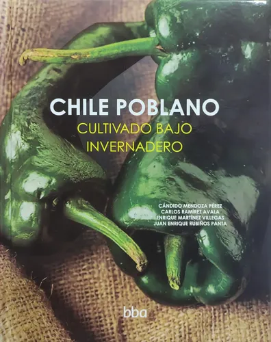Chile poblano cultivado bajo invernadero Candido Mendoza Colpos