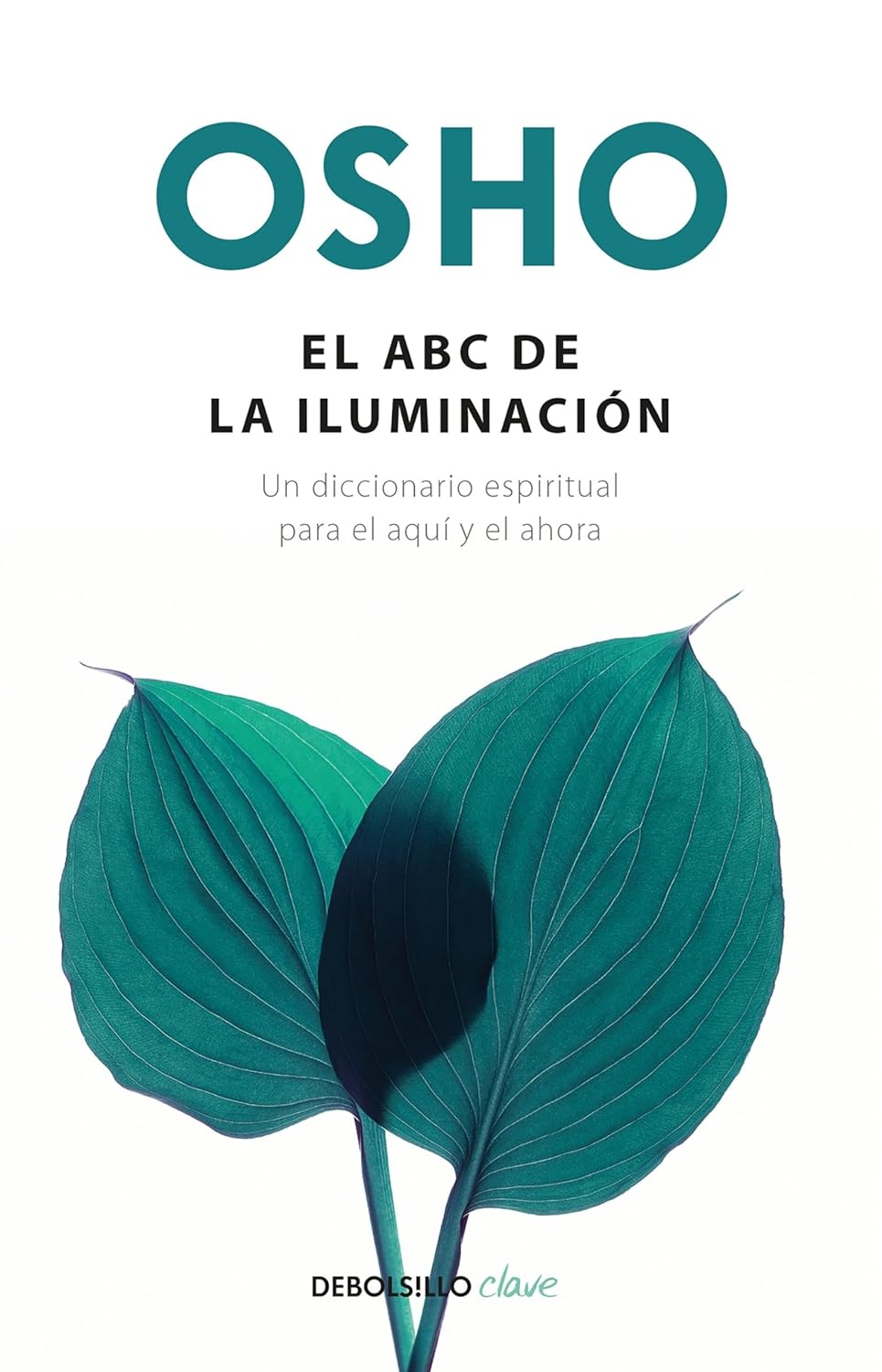 El Abc De La Iluminación. Un Diccionario Espiritual Para El Aquí Y El Ahora / Debolsillo