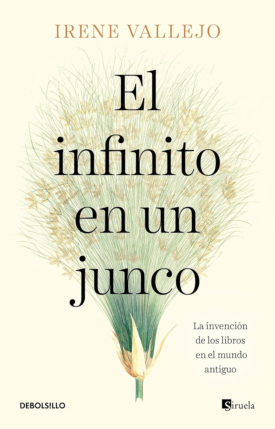 El infinito en un junco: La invención de los libros en el mundo antiguo / Debolsillo