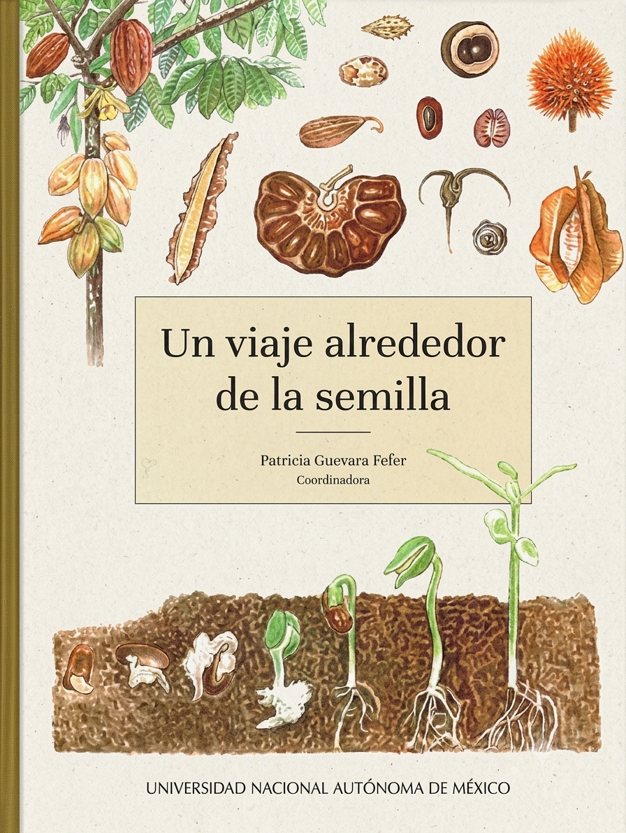 UN VIAJE ALREDEDOR DE LA SEMILLA