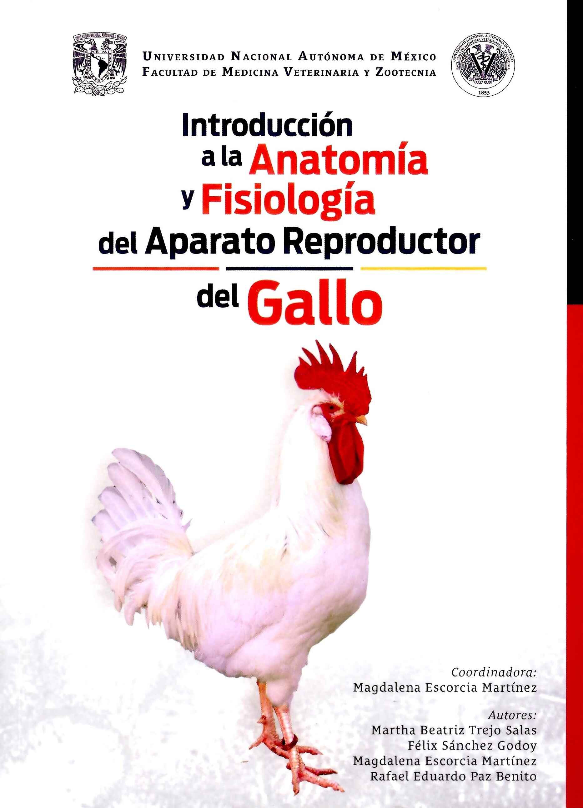 Introducción a la anatomía y fisiología del aparato reproductor del gallo / UNAM