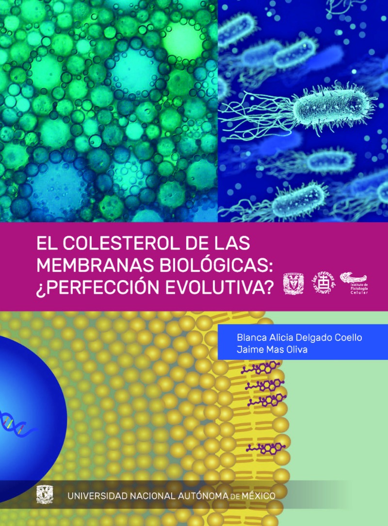 El colesterol de las membranas biológicas: ¿perfección evolutiva? / unam