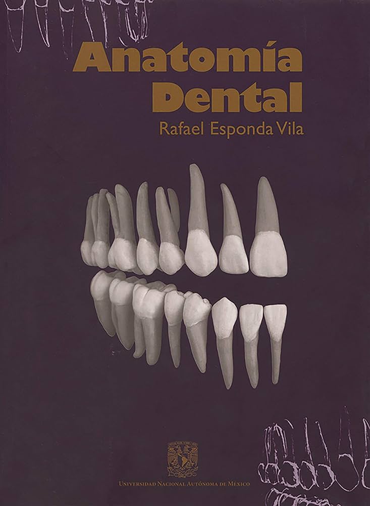 Anatomia Dental UNAM